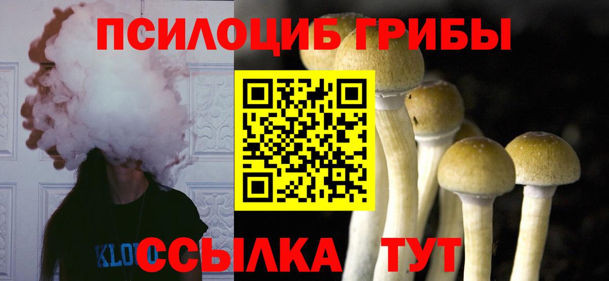 Псилоцибиновые грибы прущие грибы  Галлюциногенные грибы Psilocybe  Протвино  Вход с VPN 